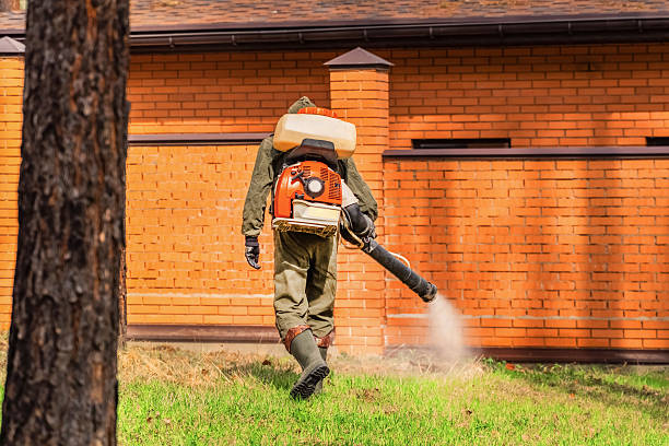 Top rated local Ant Control specialists in Key Vista, FL